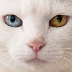 Ricksk18308's profile picture.