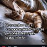 hamquesito's profile picture. Al final de tu vida lo que de verdad tendra importancia; sera la ayuda que habras prestado a otros.