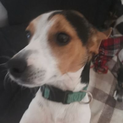 Seany60415474's profile picture. They scream right wing i say  it's truth and facts.....  
Don't require a imported wife.
Live trial watcher 
NHL: PENGUINS, NFL:DETROIT LIONS
Nffc