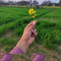 Sahil Bhatt (@sahilbhatt_) 's Twitter Profile Photo Sahil Bhatt (@sahilbhatt_) 's Twitter Profile Photo