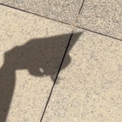 AfrahAlnaqeeb's profile picture. @_PNU_KSA Alumni | Interested in Quality and Bioinformatics | Member of @steamomentos - @InformaTalents