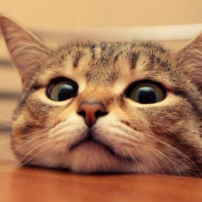 PrewtyOty's profile picture. 