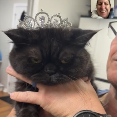 amitybono's profile picture.