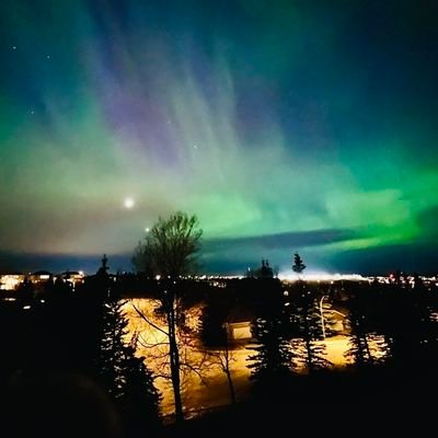 tonyliu2ca's profile picture. 