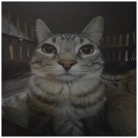 idk (@epoctrain) 's Twitter Profile
