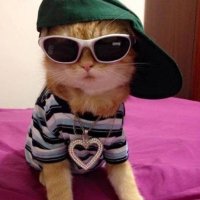 marl (@obozito) Twitter profile photo