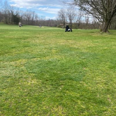 Derek Dabrieo Profile