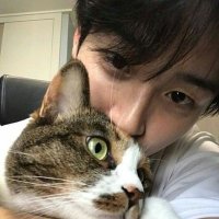 novy (@novypity) 's Twitter Profile