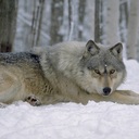 Amy Thiede - @AmyThiede - Twitter