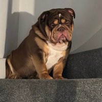 michelle (@michell27854798) 's Twitter Profile