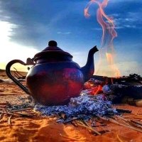 هنا ورقلة الواحات Ouargla les Oasis 🇩🇿 (@minochere) 's Twitter Profile Photo