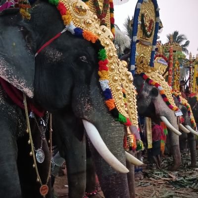 arunjith_kumar's profile picture. 