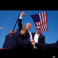 Urban (@freedom_carrier) 's Twitter Profile Photo