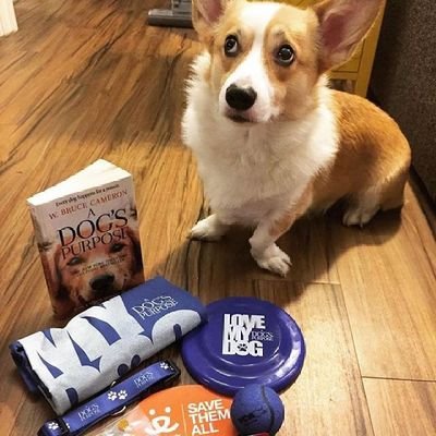 KingDan21920958's profile picture. beautiful 🥰 is the sky