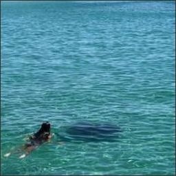 TyloyjoaKwqrZ_'s profile picture. 