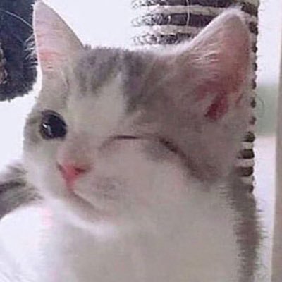 adgjmptw1234583's profile picture. 🐯好きです がきです