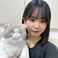 もりやさい (@gmks__asp) 's Twitter Profile