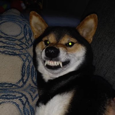 BoSajmon's profile picture. 