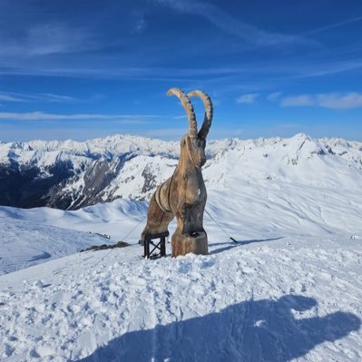 songeur44's profile picture. Passionné de nature, curieux, actif et sportif. J’apprécie les bons repas en bonne compagnie. J’aime la vie aussi imparfaite soit-elle.