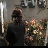 Arabela (@rubymeisi) 's Twitter Profile