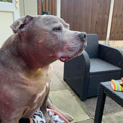 RichHoll92's profile picture. Just an anxious chill guy who loves doing things on his own.
(full time loner, drum & bass enjoyer)
Showing love to anyone going through stuff right now.