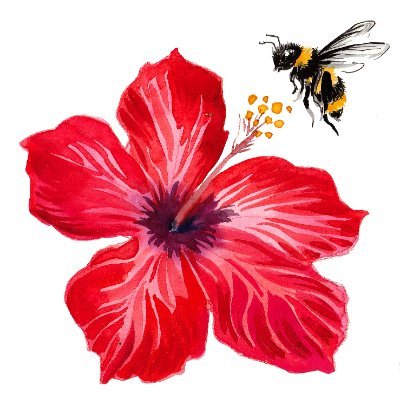 🌺🐝