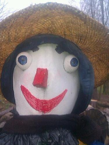 campsiedene's profile picture. 