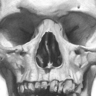 PhoenixW19424's profile picture. APHW6VM3