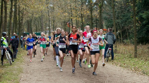 Het Running Team van C.A.V. Energie met atleten behorend tot de regionale en nationale top.
En ook op FB: https://t.co/t3Bif7xdB7