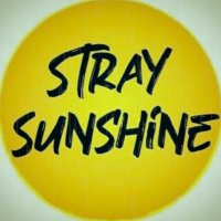 Stray Sunshine (@_straysunshine) 's Twitter Profile