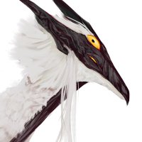 Koze🍻 (@kozzzette) 's Twitter Profile