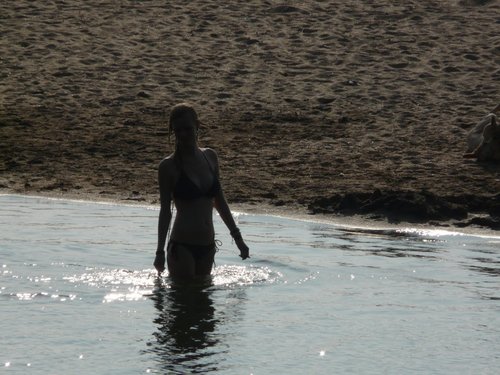 romebotman's profile picture. 