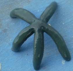 josiebeldua's profile picture. 