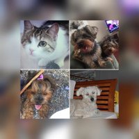 firuze arslan (@firuzearslan) 's Twitter Profile