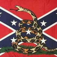 Love GOD 🌈 (@one_cozy_cat) 's Twitter Profile