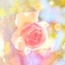 🐰𝚁𝚒𝚗𝚛𝚒𝚗…📸♥️𓂃ꕤ︎︎·͜· (@7725rirarin) Twitter profile photo 🐰𝚁𝚒𝚗𝚛𝚒𝚗…📸♥️𓂃ꕤ︎︎·͜· (@7725rirarin) Twitter profile photo