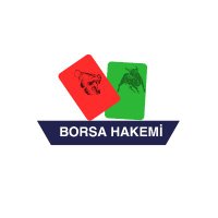 Borsa Hakemi (@borsahakemi) Twitter profile photo