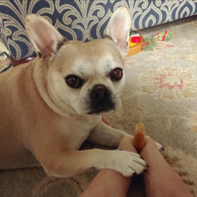 HallmanAmy's profile picture. Writer, Editor, Forever-Teacher (NBCT), Mama Bear, st advocate, birds, photography, reasonable Dem, #jaws superfan, NOT HERE FOR DATES 🙄