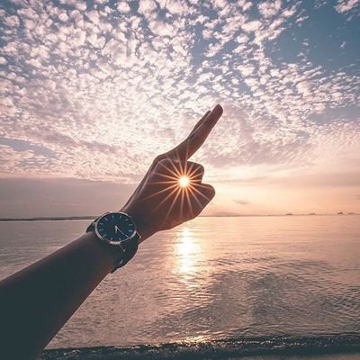 Nna_Ke_Flopo's profile picture. I can't believe that SWIMS spelled upside down is still SWIMS.