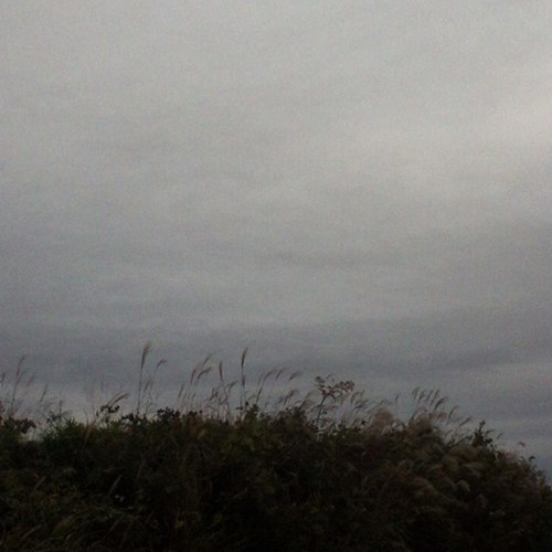 kingnozox's profile picture. 初心者ですがよろしくです\(//∇//)\