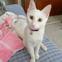 Caner (@babaolu1_caner) Twitter profile photo