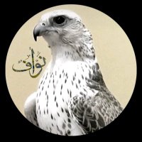 المقاطي (@sa_ud123456) 's Twitter Profile Photo