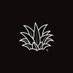 XrPineapples🍍©️ Mnks. (@xrpineapples) Twitter profile photo XrPineapples🍍©️ Mnks. (@xrpineapples) Twitter profile photo