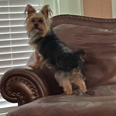 JanicePhilips7's profile picture. NO MESSAGING. Christian. ProLife. Conservative.