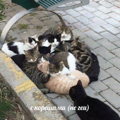 eeideii's profile picture. -