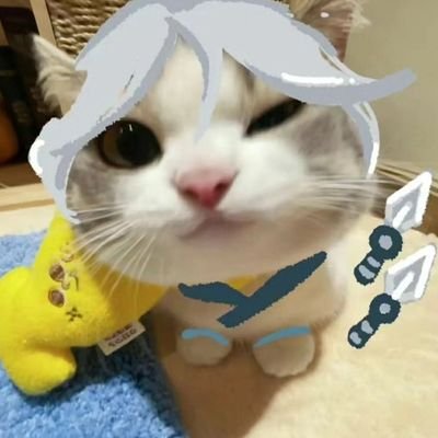 Kaoriさんのプロフィール画像