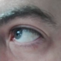Esteban π¦πΊπ¦π§π¦π§π§ (@steffanodeele87) 's Twitter Profile
