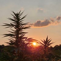 Grayway (@grayway75) 's Twitter Profile Photo Grayway (@grayway75) 's Twitter Profile Photo