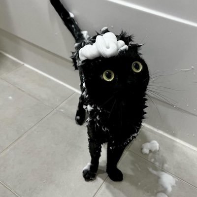 JKʕ•ᴥ•ʔさんのプロフィール画像