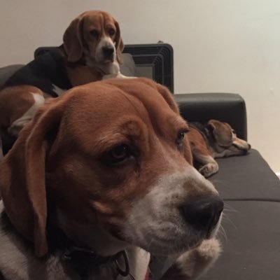 SofaJA1's profile picture. 